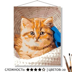 «ПЕРСИК»