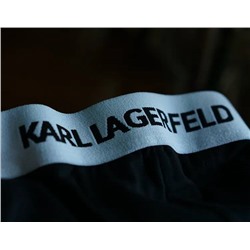 Боксеры Karl Lagerfel*d (2шт)🐈‍⬛ отшиты на фабрике из остатков оригинальной ткани✔️