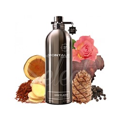 MONTALE GREYLAND edp 2ml пробник