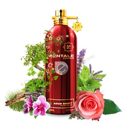 MONTALE AOUD SHINY edp 2ml пробник