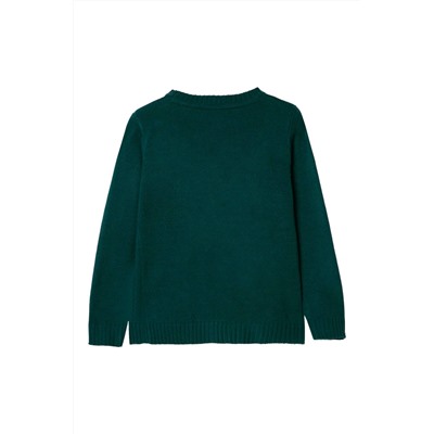 Jersey Verde oscuro y rojo