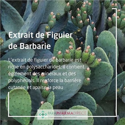 Weleda Figuier de Barbarie Contour des yeux Hydratant 10ml