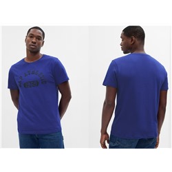 Everyday Soft Gap Graphic T-Shirt