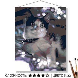«БЕЛЫЕ ОГОНЬКИ»