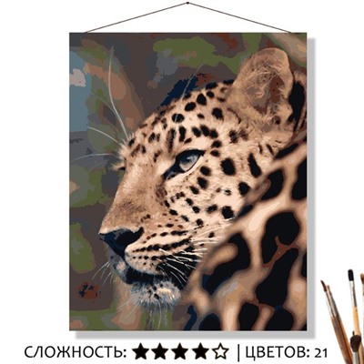 «ПЯТНИСТЫЙ ХИЩНИК»