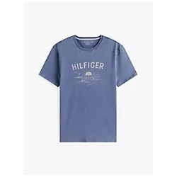 Hilfiger Wave Logo T-Shirt
