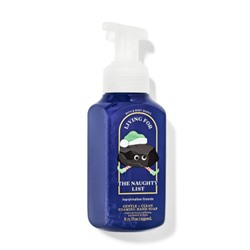 Marshmallow Fireside Gentle & Clean Foaming Hand Soap