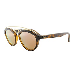 Ray-Ban Unisex RB4257 53mm Sunglasses