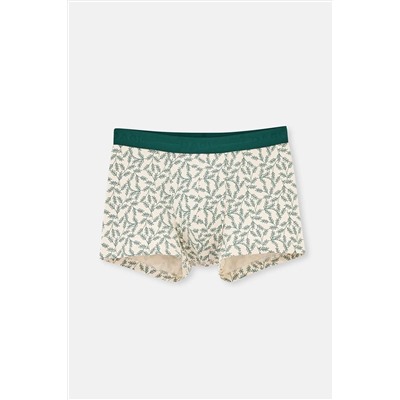 Dagi, Krem 5210 Desenli Pamuk Boxer