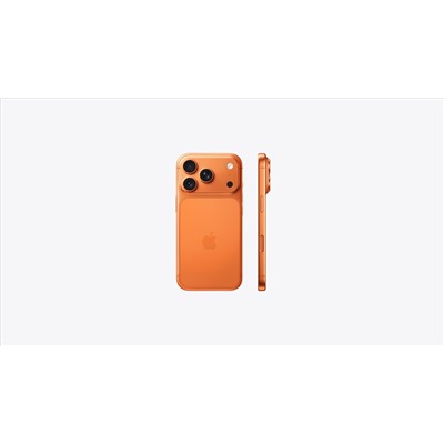 iPhone 17 Pro  1TB