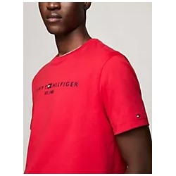 Embroidered Tommy Logo T-Shirt