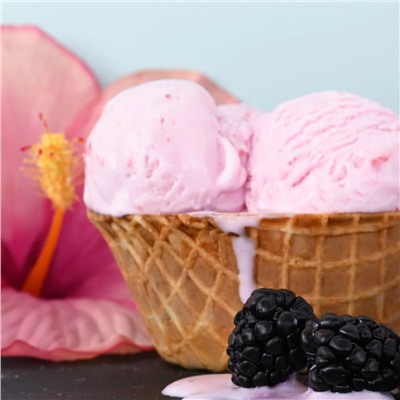 Blackberry Hibiscus Stick & Sphere Lip Balm