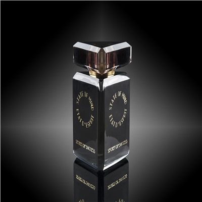 STATE OF MIND SECRET OF SUCCESS edp 1.5ml пробник