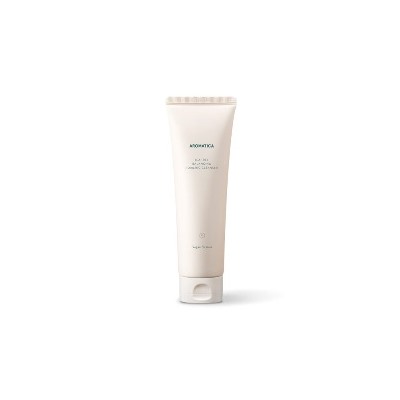 Tea Tree Balancing Foaming Cleanser, Очищающая пенка для жирной кожи с чайным деревом