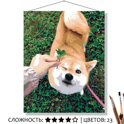 «КЛЕВЕР»