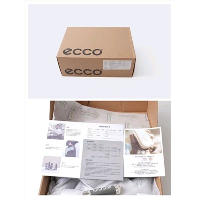 Женские кожаные кроссовки  ECC*O