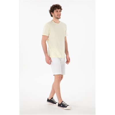 Erkek Regular Fit Bisiklet Yaka Limon Basic Tişört