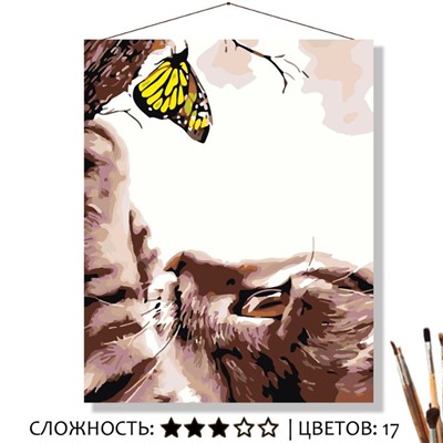 «ЖЁЛТАЯ БАБОЧКА»