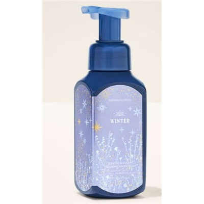 Winter Gentle & Clean Foaming Hand Soap
