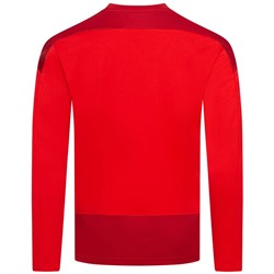 PUMA teamGOAL Training Sweat Herren Pullover 656478-01