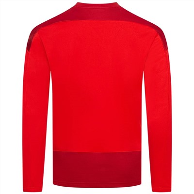 PUMA teamGOAL Training Sweat Herren Pullover 656478-01