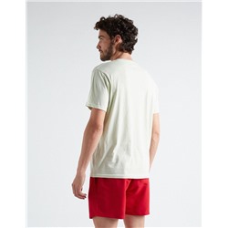 Egypt Printed T-shirt, Men, Light Green