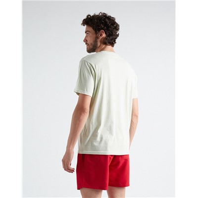 Egypt Printed T-shirt, Men, Light Green