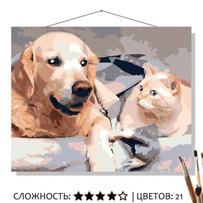 «КОТ И ПЁС»