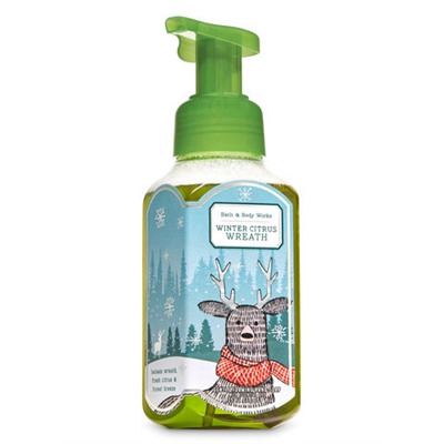 Winter Citrus Wreath


Gentle Foaming Hand Soap