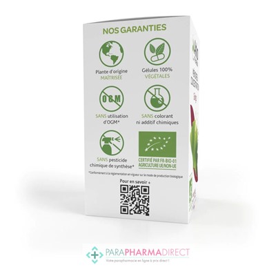 ArkoPharma ArkoGélules - Ginkgo - Mémoire Concentration - BIO 150 gélules