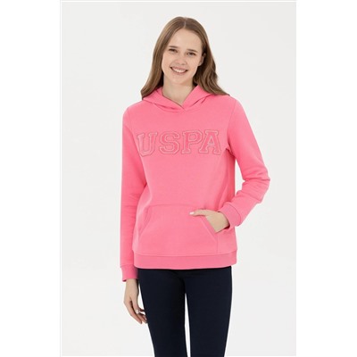 Kadın Pembe Kapüşonlu Basic Sweatshirt