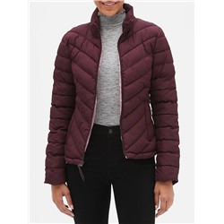 Warmest Jacket