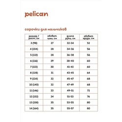 Рубашка PELICAN, 889917