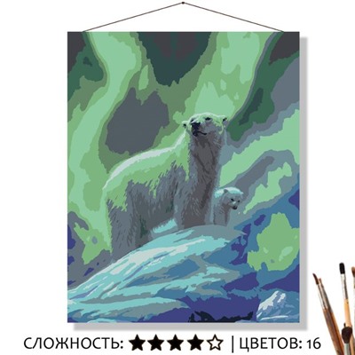 «СЕВЕРНОЕ СИЯНИЕ»