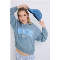 Sudadera capucha felpa algodón gris