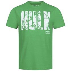 HULK Text MARVEL Herren T-Shirt FBMTS304GRN