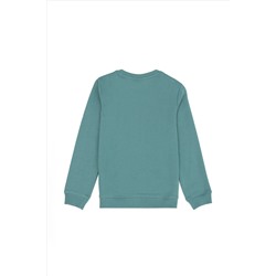 Erkek Çocuk Mint Sweatshirt