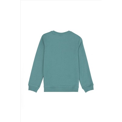 Erkek Çocuk Mint Sweatshirt