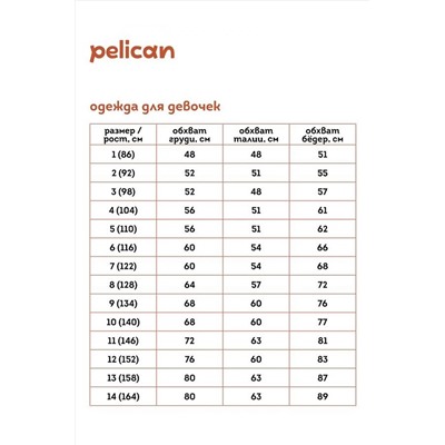 Блуза PELICAN, 890852