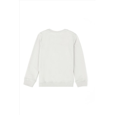 Erkek Çocuk Taş Sweatshirt