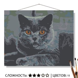 «СЕРЫЙ КОТ»