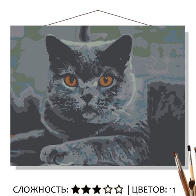 «СЕРЫЙ КОТ»