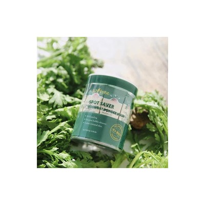 Spot Saver Mugwort Powder Wash (1g*25ea), Энзимная пудра с полынью