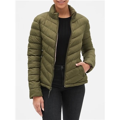 Warmest Jacket