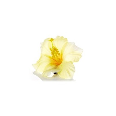 Заколка-крокодильчик "Cветло-желтый гибискус" / Light YELLOW Hibiscus hairpin
