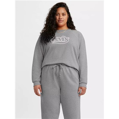 VINTAGE RAGLAN CREWNECK SWEATSHIRT (PLUS SIZE)