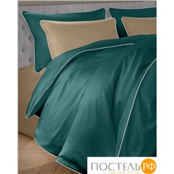 113310110-сгL45 Наволочка Satin Luxe 52х74 бирюза