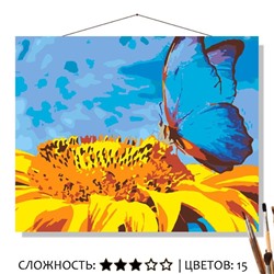 «БАБОЧКА НА ПОДСОЛНУХЕ»