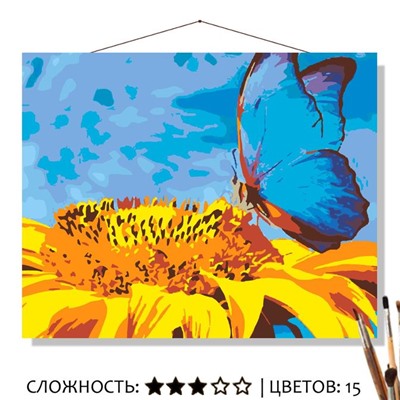 «БАБОЧКА НА ПОДСОЛНУХЕ»