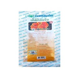 Чай из гриба Линчжи 20 фильтр - пакетиков / Ganoderma Lucidum, Рейши, Линчжи, Линжи, Reishi, Lingzhi Thanyaporn Herbs brand